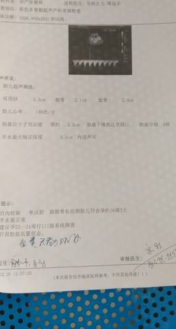 journal_insert_pic_1677358742