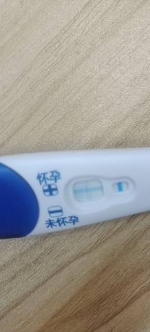 journal_insert_pic_1683481160