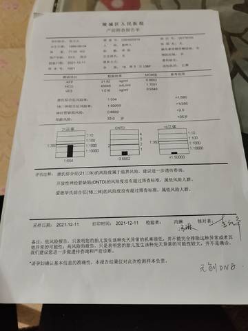 journal_insert_pic_1678004048