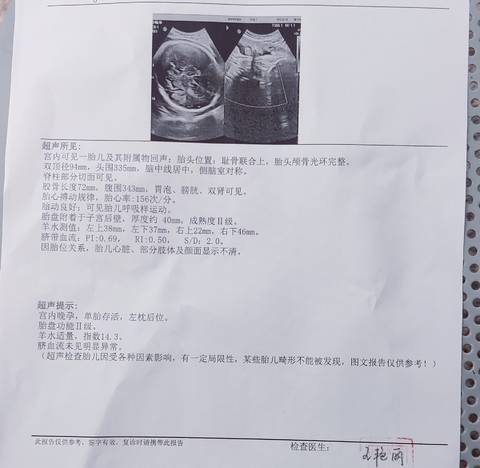 journal_insert_pic_1719444276