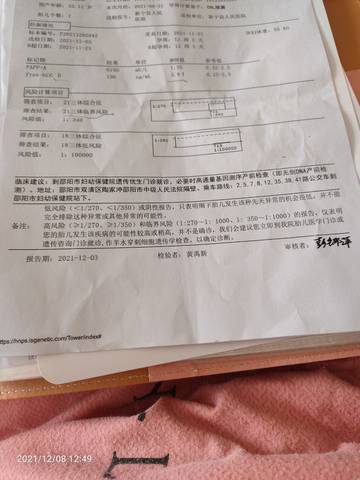 journal_insert_pic_1676046900