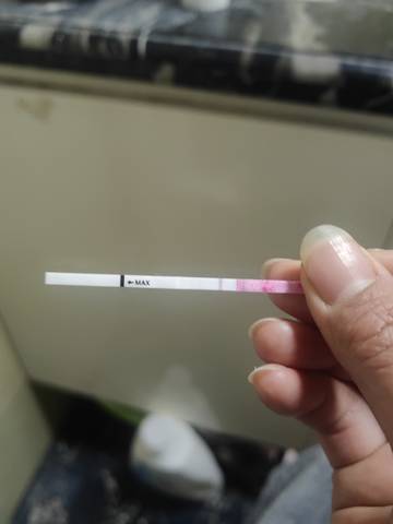 journal_insert_pic_1719659922