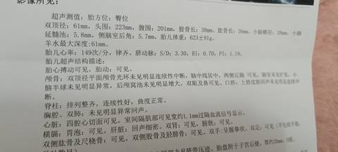 journal_insert_pic_1673188545