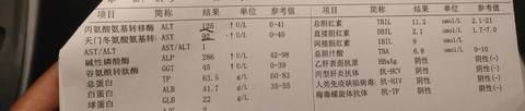 journal_insert_pic_1687858934