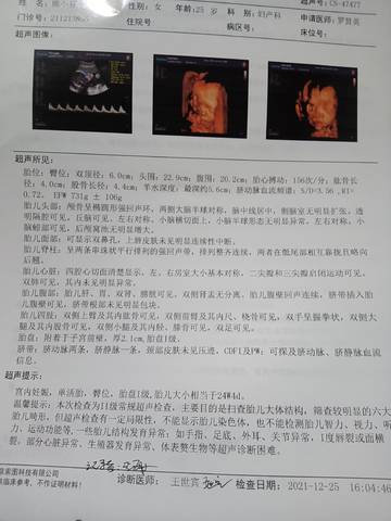 journal_insert_pic_1686129473