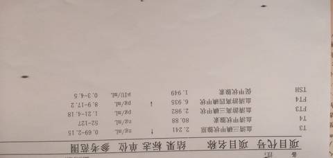 journal_insert_pic_1682212988