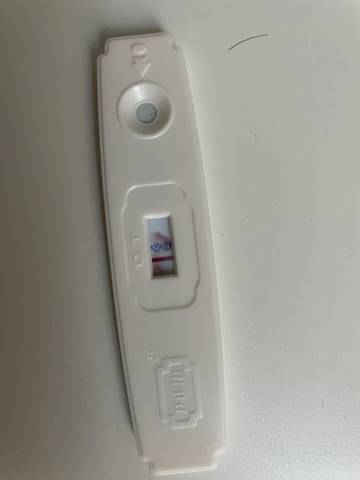 journal_insert_pic_1682371631