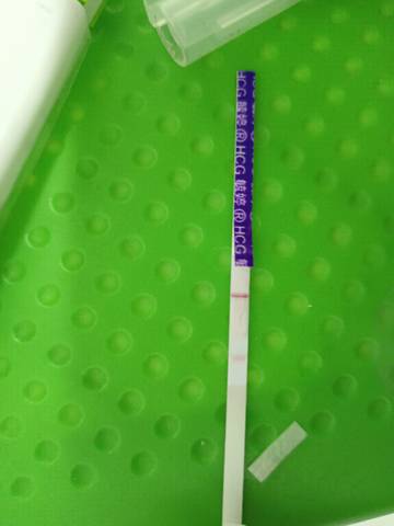 journal_insert_pic_1687384682