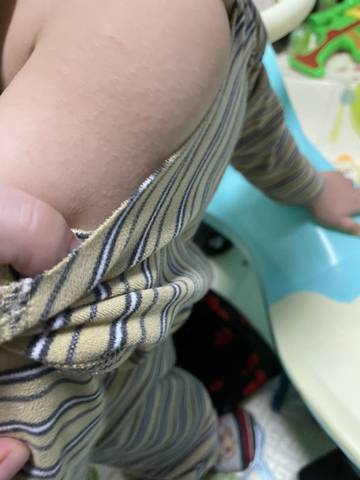 journal_insert_pic_1679228254