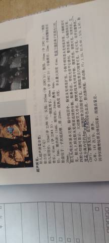 journal_insert_pic_1719537821