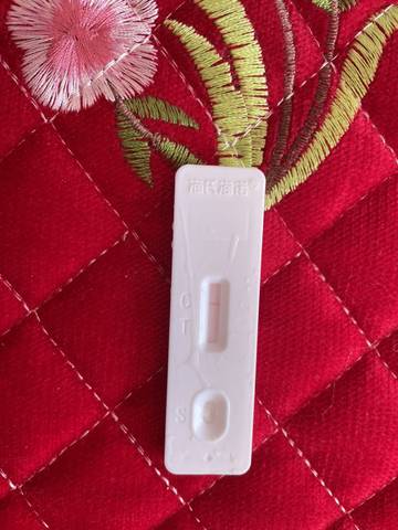 journal_insert_pic_1688581848