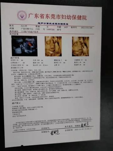 journal_insert_pic_1685286334