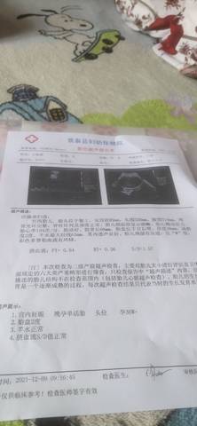 journal_insert_pic_1678675175