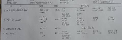 journal_insert_pic_1686413144