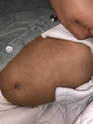 journal_insert_pic_1681699811