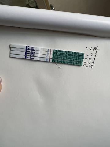 journal_insert_pic_1682896779