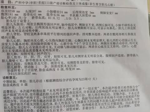 journal_insert_pic_1681900726