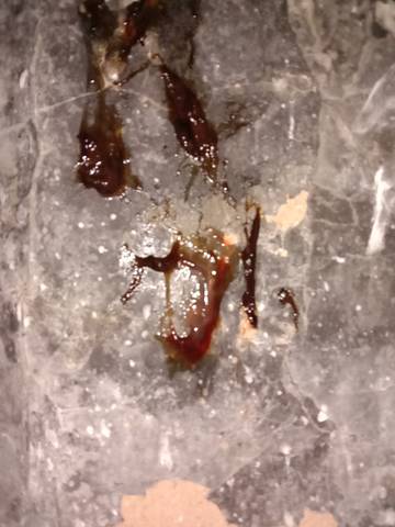 journal_insert_pic_1682141021