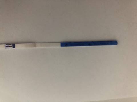 journal_insert_pic_1686255842