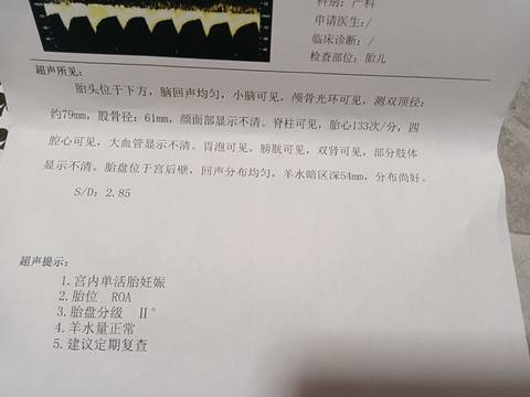 journal_insert_pic_1687831423