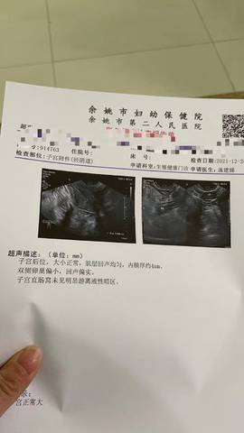 journal_insert_pic_1687584564