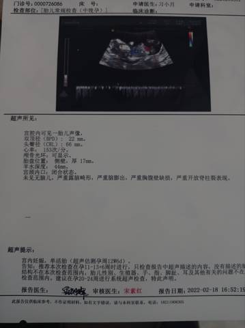 journal_insert_pic_1719681696