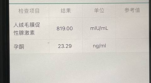 journal_insert_pic_1683635171