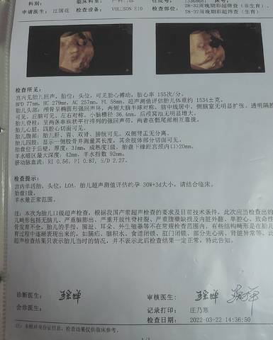 journal_insert_pic_1740928472