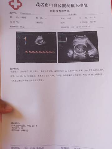 journal_insert_pic_1674018195