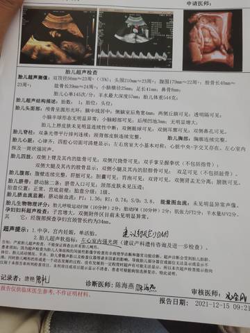 journal_insert_pic_1681139894
