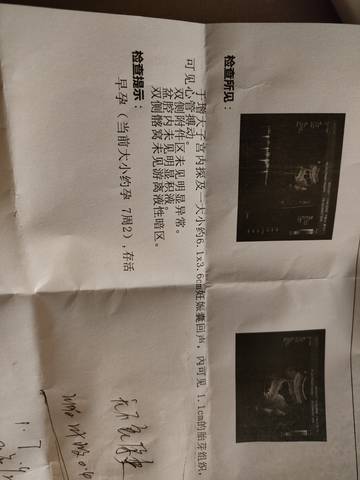 journal_insert_pic_1681698881
