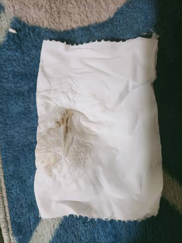 journal_insert_pic_1690500526