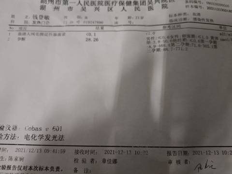 journal_insert_pic_1679451646