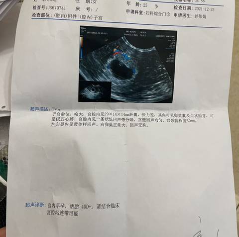 journal_insert_pic_1685950916