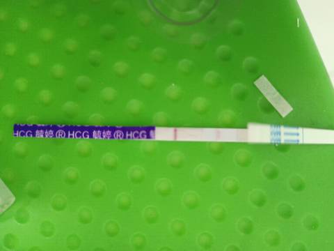 journal_insert_pic_1687390225