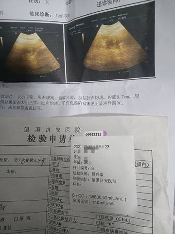 journal_insert_pic_1678620325