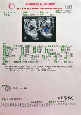 journal_insert_pic_1686222344