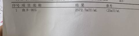 journal_insert_pic_1680978934