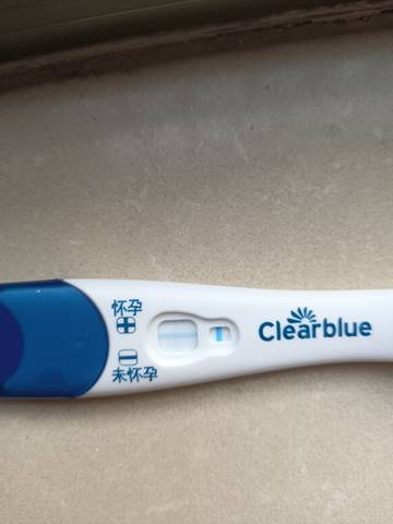 journal_insert_pic_1685928777