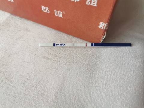 journal_insert_pic_1677932992