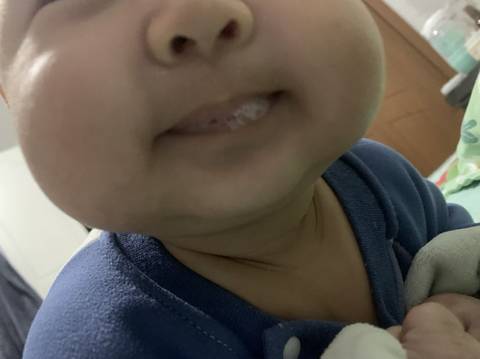 journal_insert_pic_1686882344