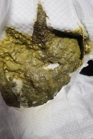 journal_insert_pic_1680166524