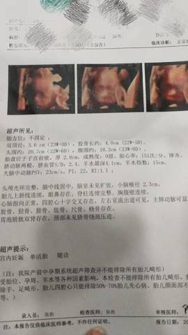 journal_insert_pic_1687920433