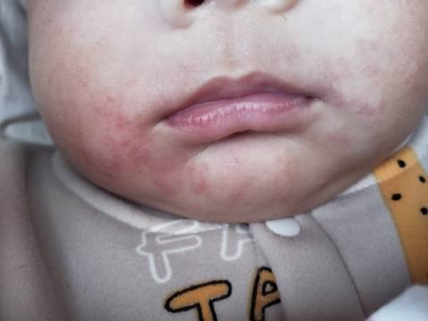 journal_insert_pic_1679537793