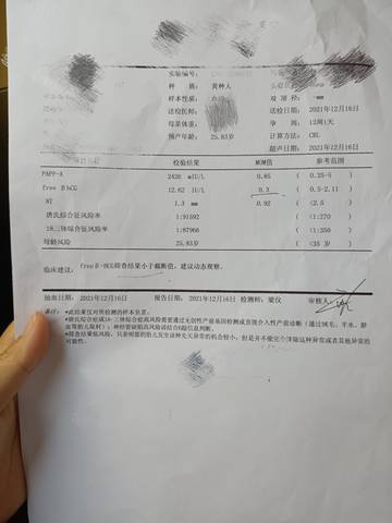 journal_insert_pic_1690115947