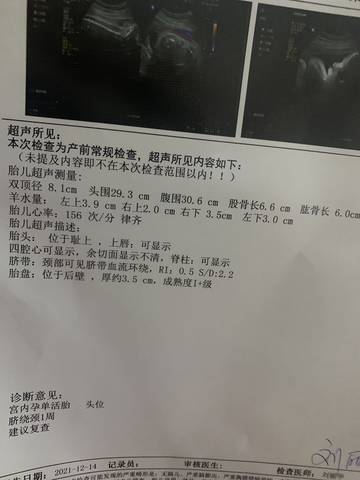 journal_insert_pic_1681770078