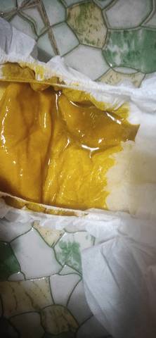 journal_insert_pic_1675616414