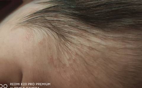 journal_insert_pic_1684855669