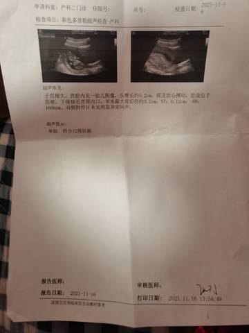 journal_insert_pic_1689135678