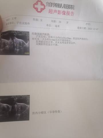 journal_insert_pic_1675449255